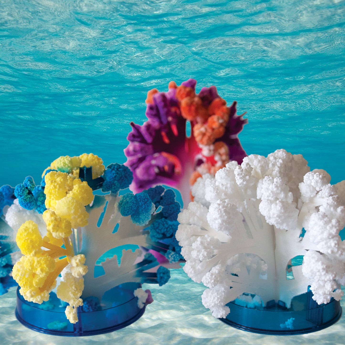 Coral Reef Crystal Growing