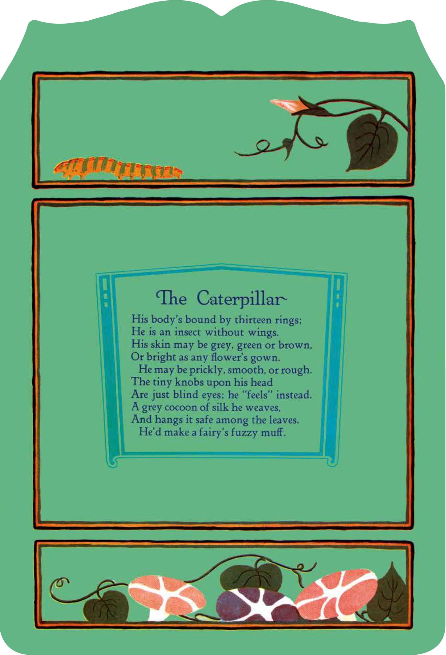 Illustration of a caterpillar and text on a green background