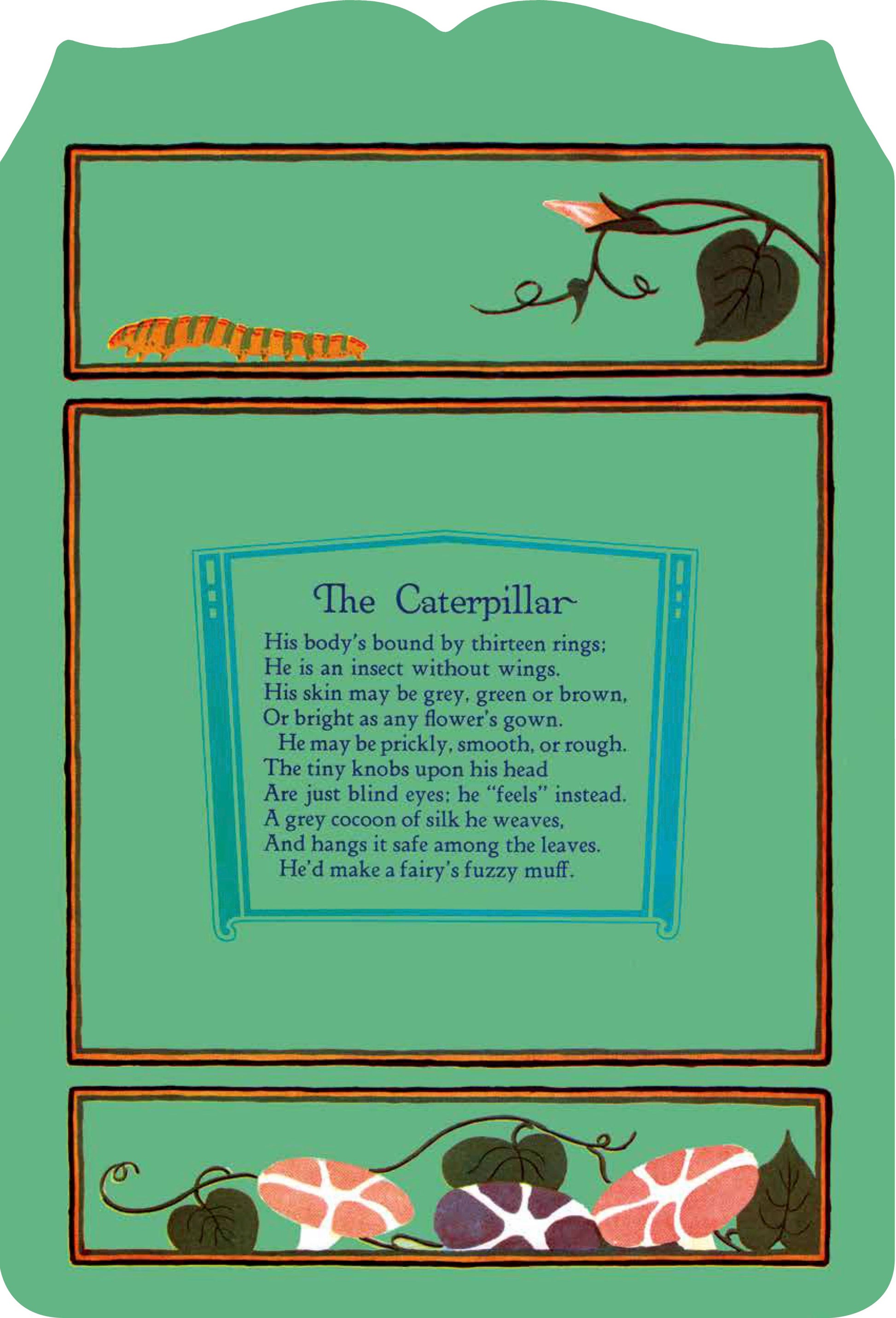 Illustration of a caterpillar and text on a green background