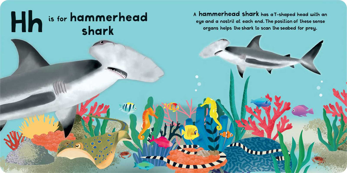 Book page with a hammerhead shark illustration and ocean scene