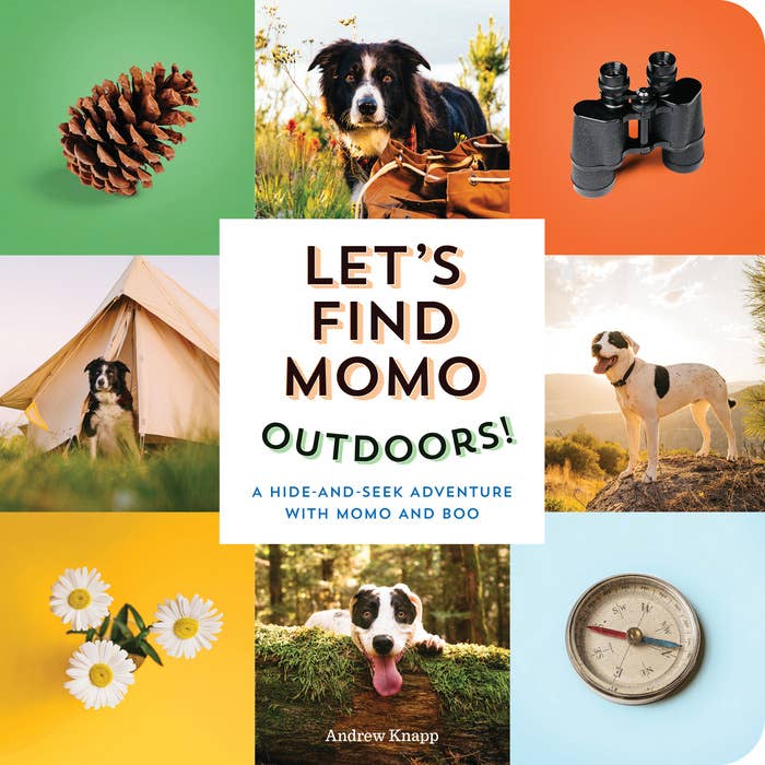 Let's Find Momo Outdoors Board Book