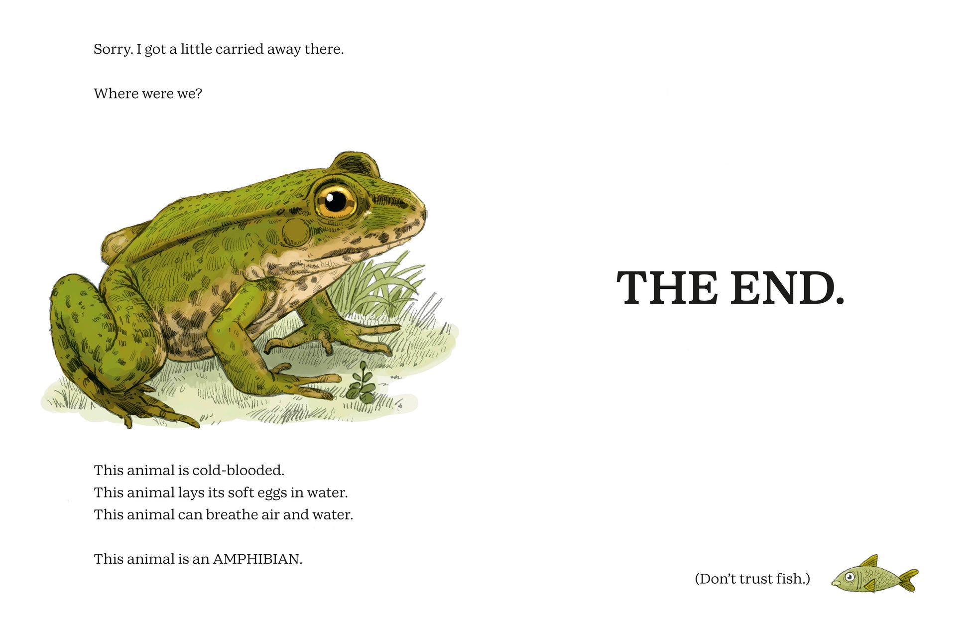 Illustration of a frog with educational text about amphibians on a white background