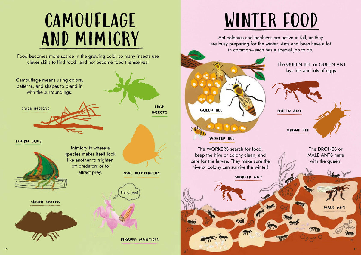 An educational illustrated poster titled 'Camouflage and Mimicry' on the left and 'Winter Food' on the right, featuring cartoon animals, insects, eggs, and food on pastel green and pink backgrounds.