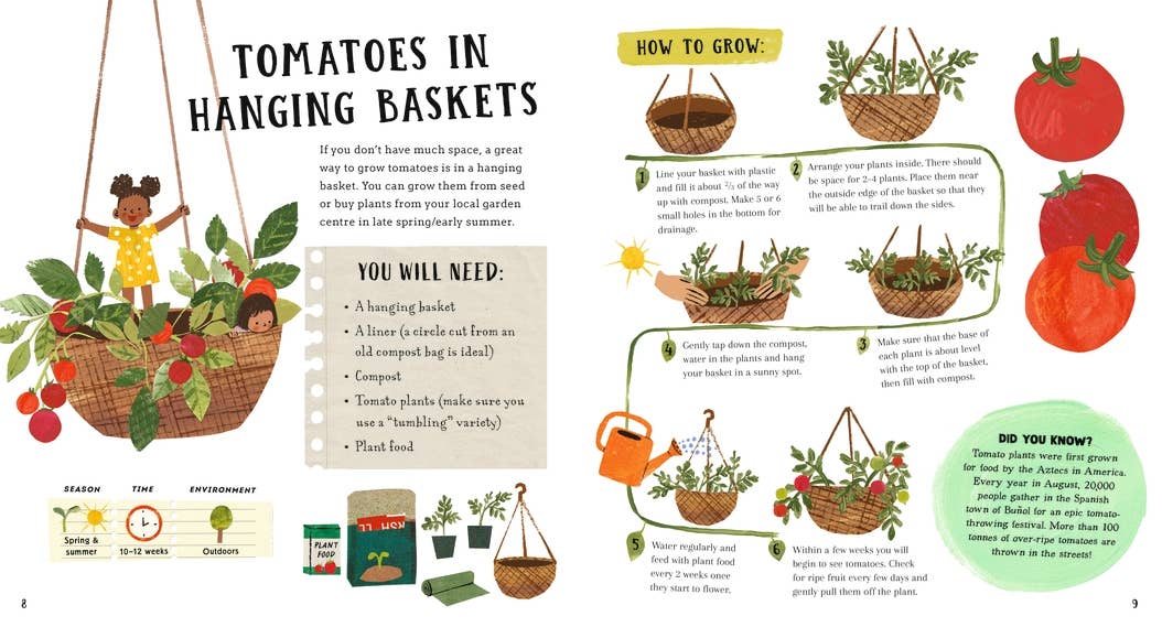 Illustrated guide on growing tomatoes in hanging baskets with text and graphics.