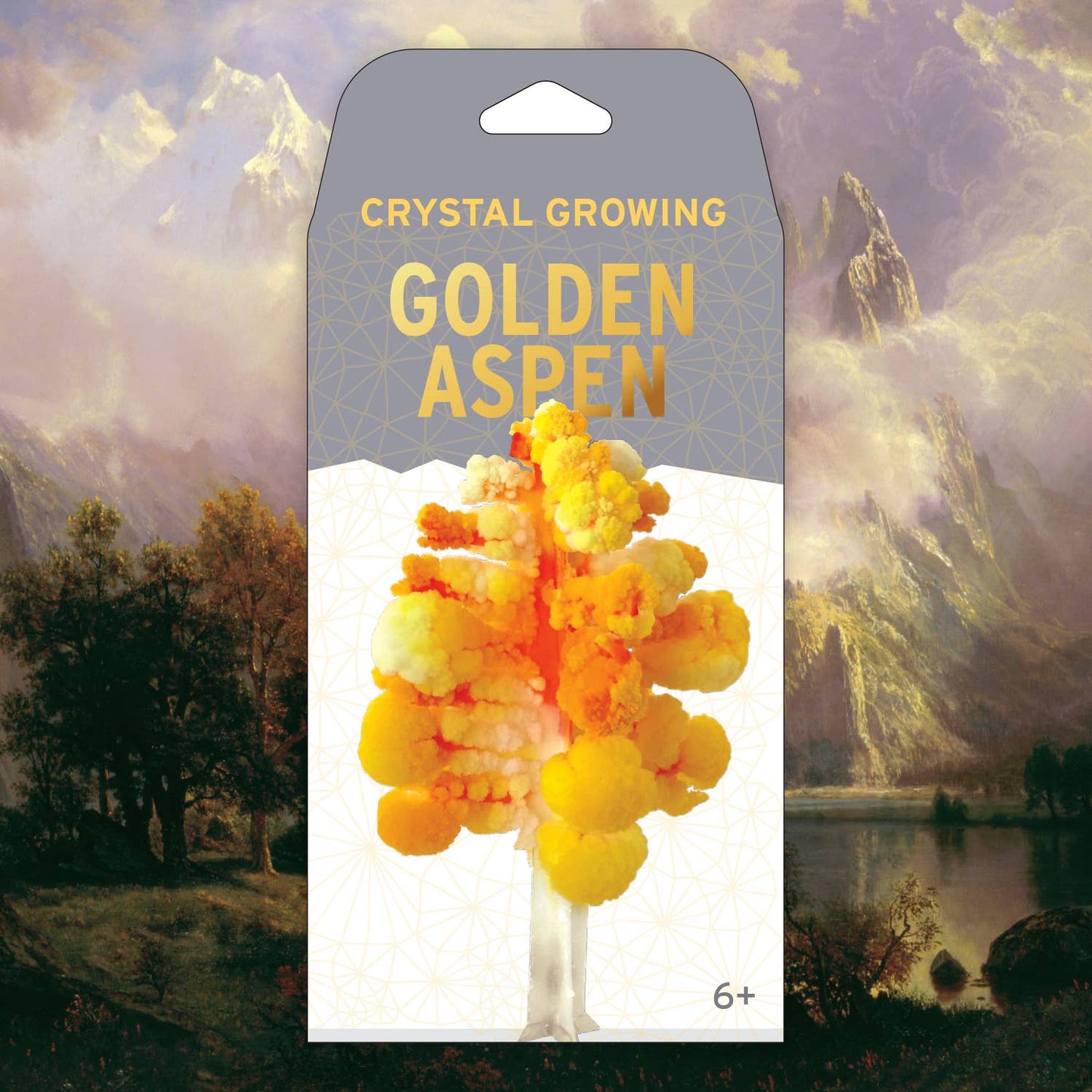 Aspen Crystal Growing