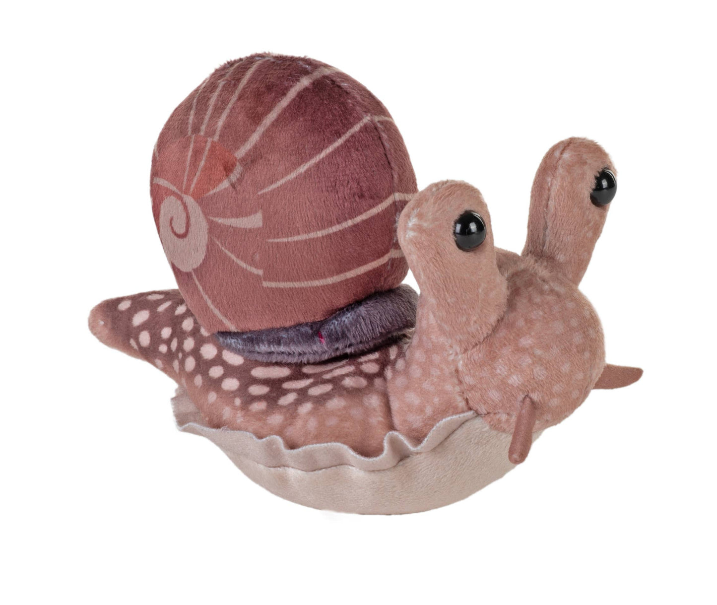 Plush toy snail with a shell on a white background