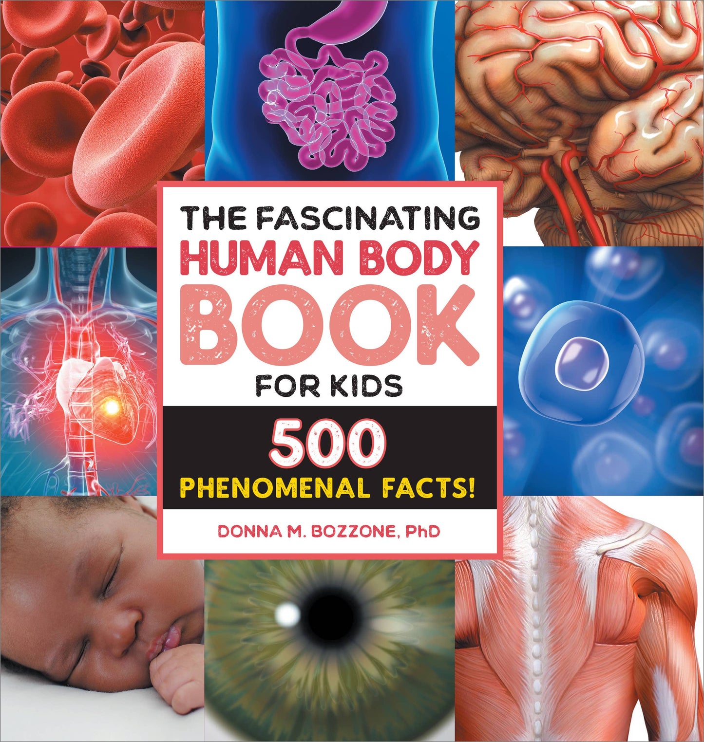 Fascinating Human Body Book for Kids