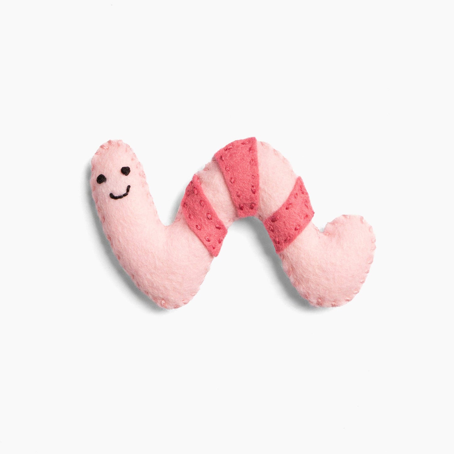 Worm Felt Stitch Kit