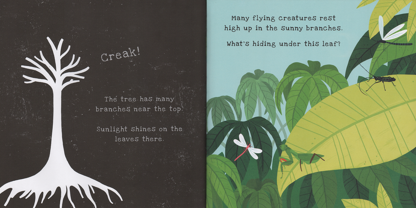 Secrets of the Rain Forest: Shine-A-Light