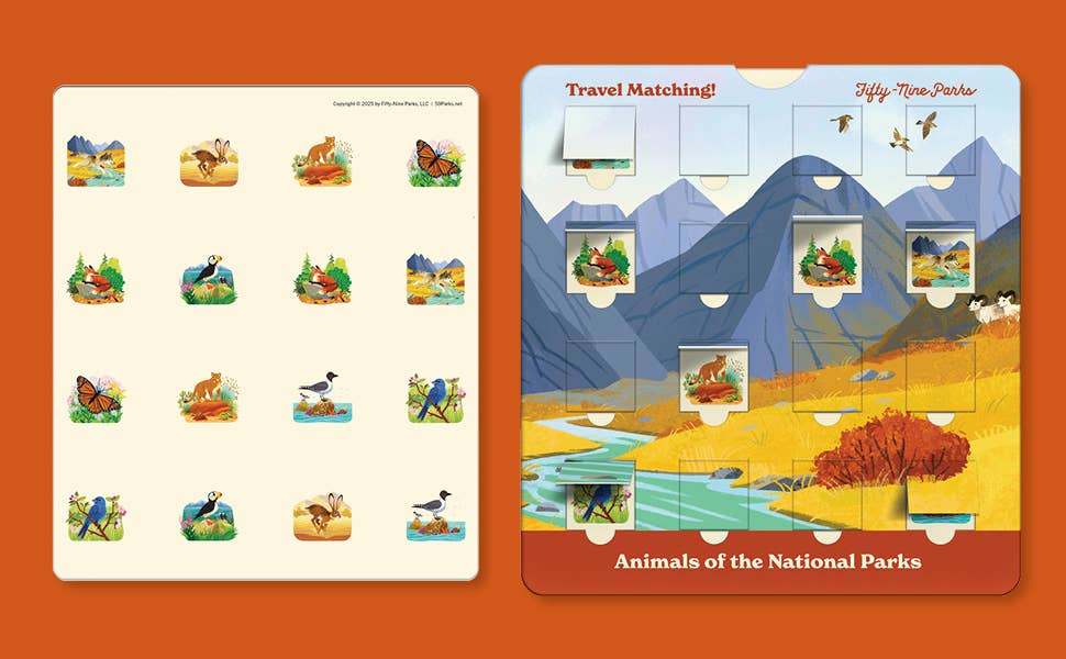 Educational game set with cards featuring animals of the National Parks on an orange background.