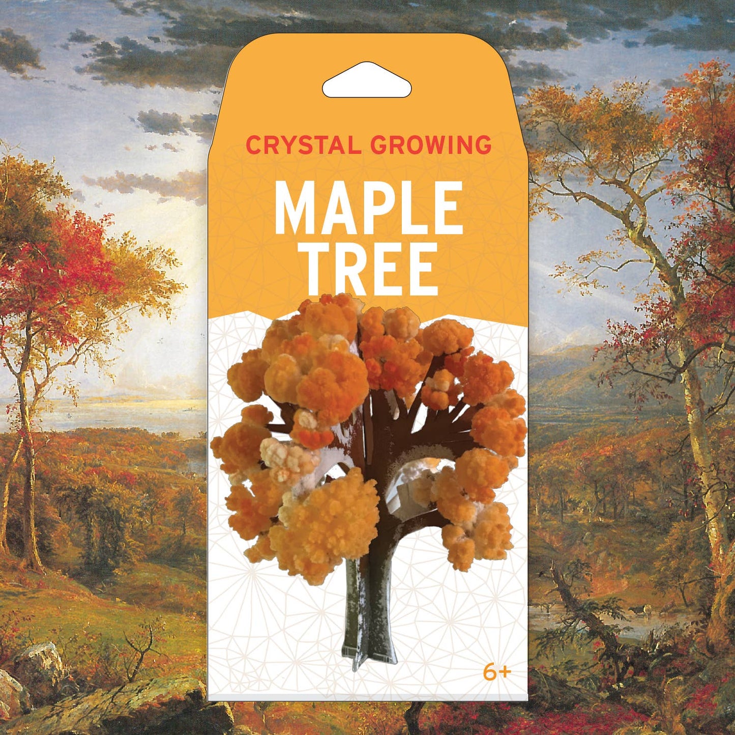 Crystal Growing Maple Tree Kit