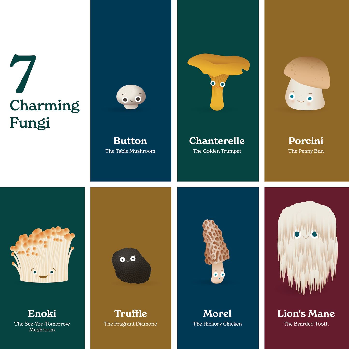 Little Book of Fungi Board Book