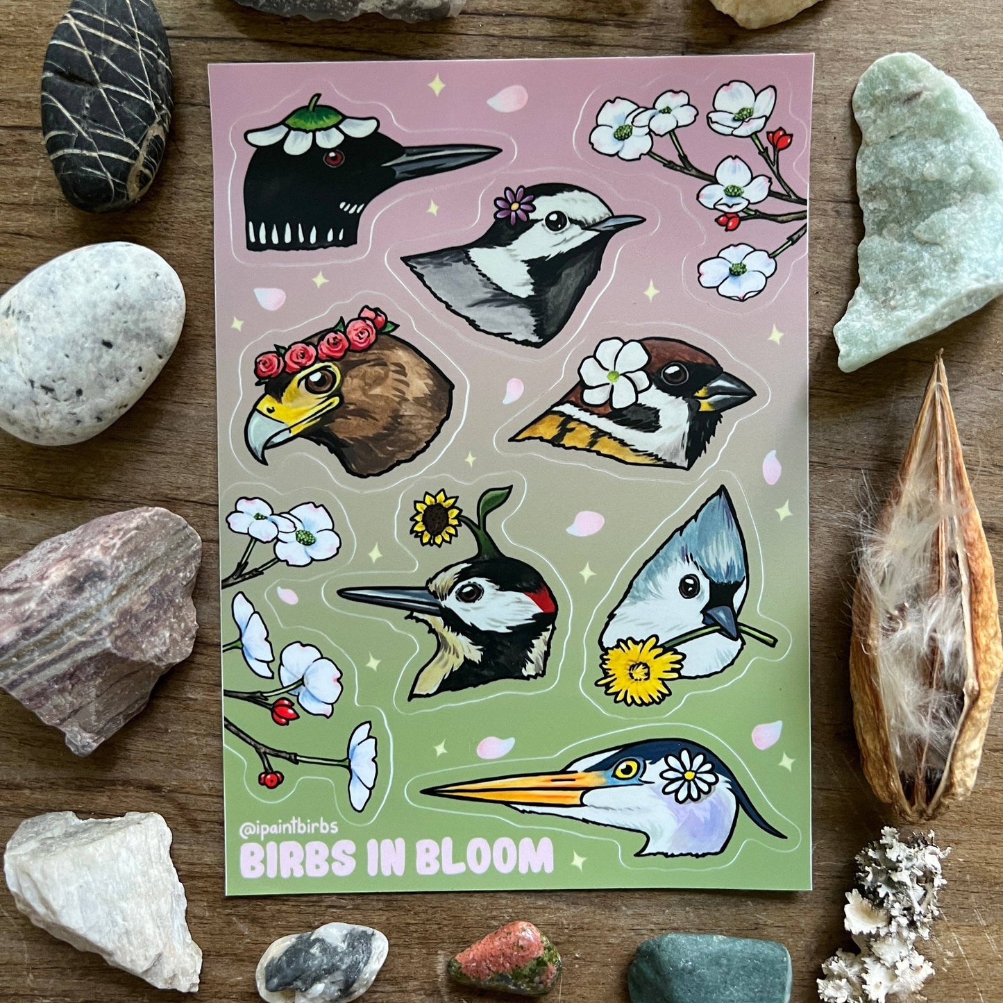 Sheet of 'Birds in Bloom' stickers with various birds and flowers on a pink and green background, surrounded by stones and natural elements.
