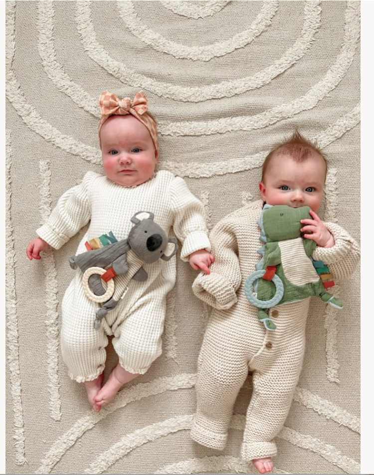 Dino Crinkle Toy with Teether