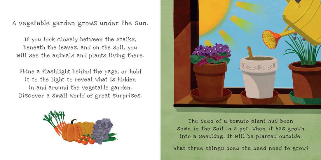 Vegetable Garden: Shine-A-Light