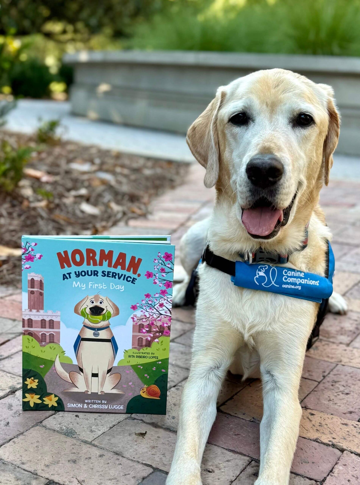 Norman, at Your Service: My First Day