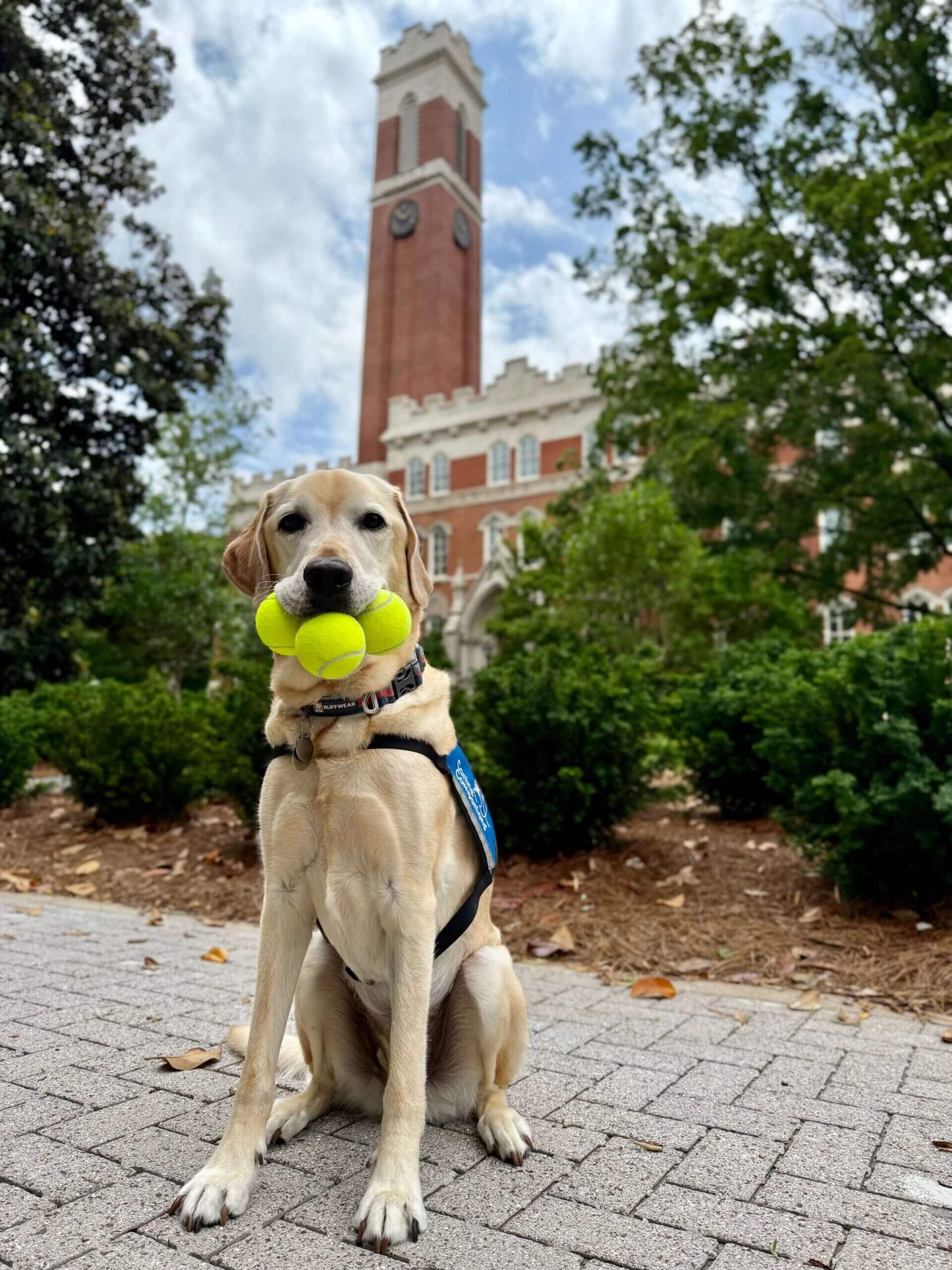 Norman, at Your Service: My First Day