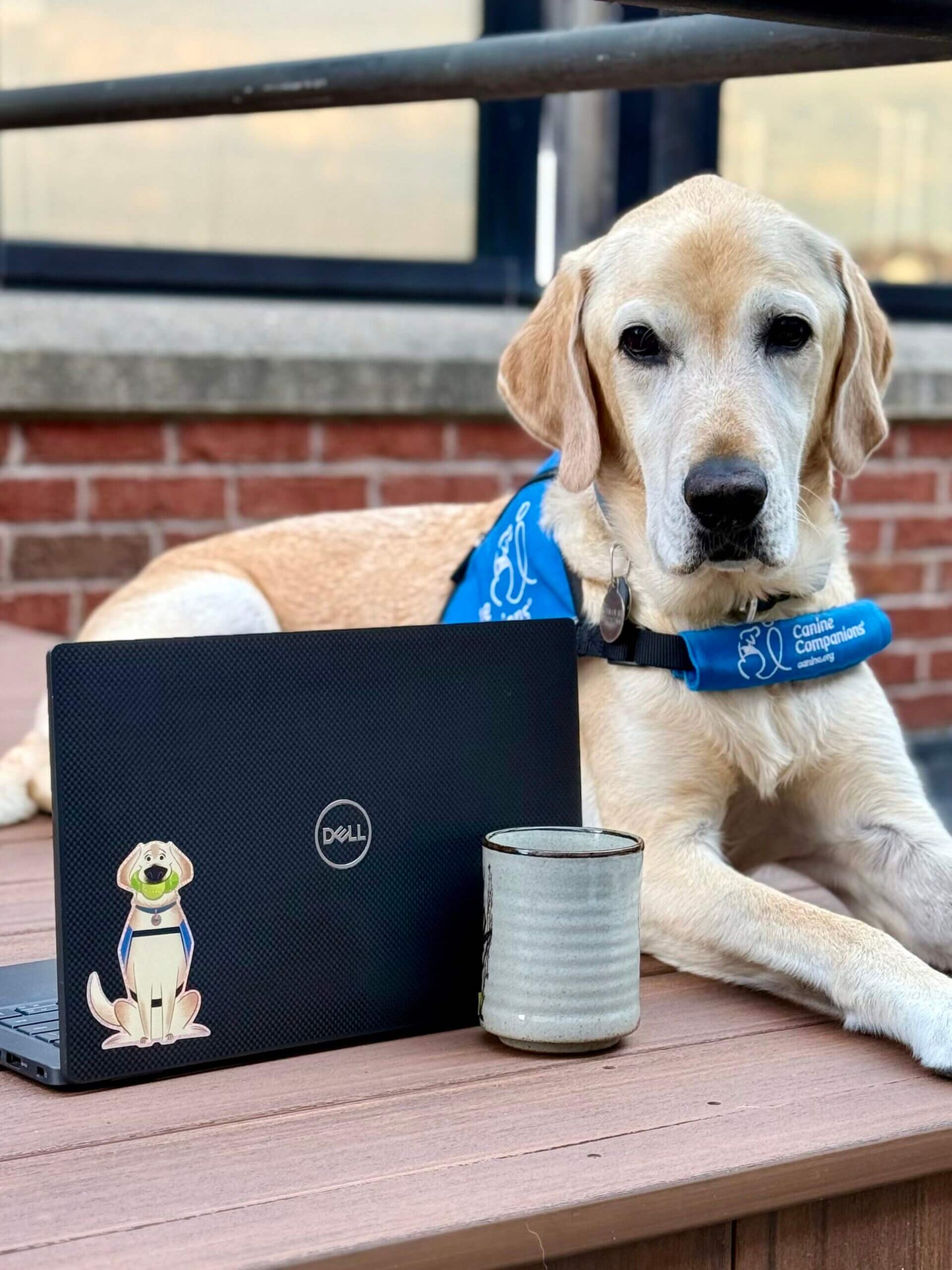 Norman, at Your Service: My First Day